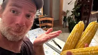 Processing and freezing leftover corn on the cob. 