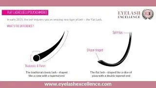 FLAT LASHES - what are they, how to use?