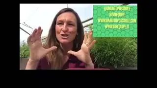 🎯 LA MIA LIBERA PROFESSIONE