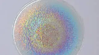 Bio Iridescent Sequins