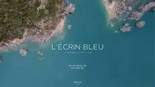 TEASER L'&Eacute;CRIN BLEU
