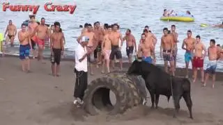 Funny video Buffalo Fighting Festival   Best Funny videos try not to laugh CRAZY Buffalo Fails #4 2