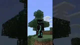 Video Poll