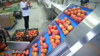 Automatic Tomato Paste Manufacturing Plant, Tomato Paste Processing Machine
