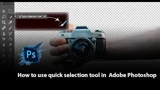 how to use quick selection tool in photoshop