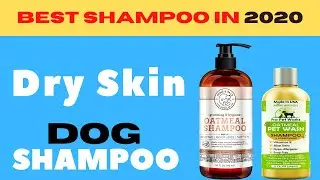 Exclusive and Best Dog Shampoo For Dry Skin in 2020 | Dry Skin Dog Shampoo |  itchy skin Problem.
