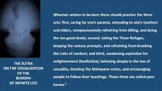 The Sutra on the Visualization  of the Buddha of Infinite Life