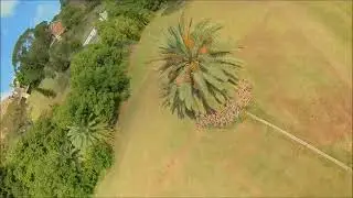 North Shore Flyers FPV secret location