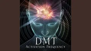 Deep Visualization