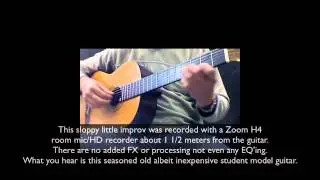 Hokada student model  Classical Guitar demo
