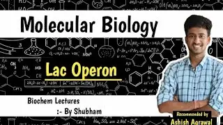 Regulation Of Gene Expression (Lac Operon) || Molecular Biology || Biochemistry Lecture