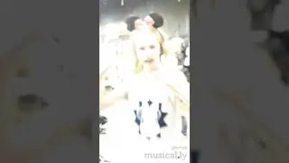 Nik&nik mickey mouse collection