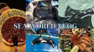 Going To SeaWorld For The First Time *feeding stingrays and dolphins*