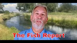 Sierra Bright Dot's Fred Rowe Presents Owens Valley Fly Fishing Report for Aug 29-Sept 4, 2025