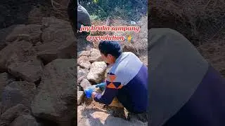 jay mato jay shramdan #shortvideo #shorts #harkasampang