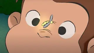🐵Peter Pedal 🐵Hvor mange stjerner er der? 🐵Børn Film 🐵Film til Børn