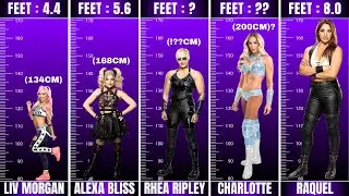 WWE Female Superstars Height Comparison Shortest To Tallest | wrestlinginc