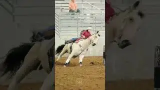 We have stuff to work on but good job Zack!😍 #zoomies #horse #fypシ゚viral #equestrianjourney #fypシ