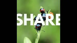 Identify Anything On Earth (EarthSnap)