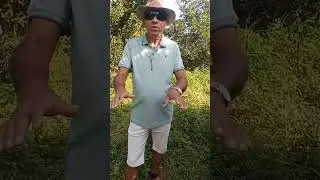 piada da hora