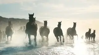 The Running of the Horses - Lloyds Bank