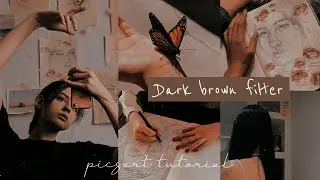 Dark brown filter | picsart tutorial | aesthetic edit