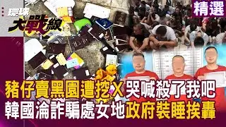 豬仔哭喊「殺了我吧」！黑園遭挖Ｘ下毒手 韓國淪詐騙「處女地」受害暴增百倍 政府還在睡？｜#寰宇新聞 @寰宇新聞 頻道