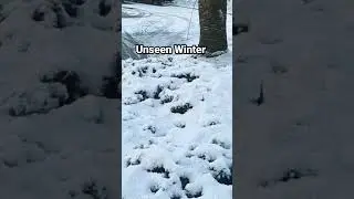 Unveiling Winter's True Form | #shorts #nature#snowfall