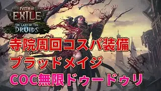 [POE2 0.4] Infinite Loop with Cost-effective Equipment!! Blood Mage x COC Infinite Dooduri