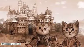 WE WERE TRAPPED IN THE KINGDOM OF CATS | CAT TALES