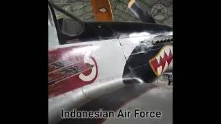 Look at the Livery of this North Anerican P-51 Mustang WWII Fighter #aviation #military #tniau