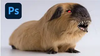 HOW TO MAKE HAMSTER 