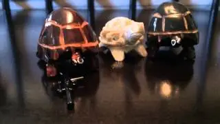 ToyMania Trailer