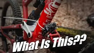 This was interesting... || Mountain Bike Trail ASMR