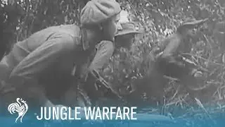 Jungle Warfare: Australians Fight Japanese in New Guinea (1943) | War Archives