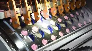 high speed standard type laundry detergent dishwasher capsule pods packing machine