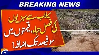 Floods Destroy Vegetable Crops | Prices Double Across Pakistan! | Breaking News