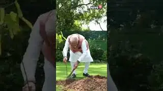 World Environment Day, PM Modi Planted A Sindoor Sapling At His Residence, Gifted By 1971 War Women
