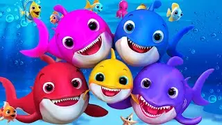 Canzone Baby Squalo | Canzoni per bambini | Filastrocche e canzoni per bambini | Super Luca
