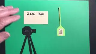 Bird Photos using Interval Timer in DSLR