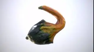 Ornamental gourds - Beauty