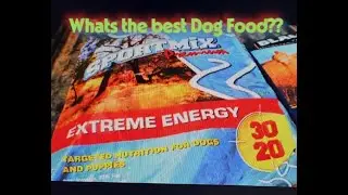 Best Dog Food for Hunting Dogs?