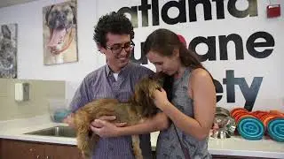 Welcome to the Atlanta Humane Society!