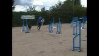 Agility: Jumping de Kenal y Enrique Sol&iacute;s en LealCan