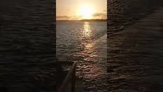 Sunrise in the Essequibo #guyana #sunrise #nature