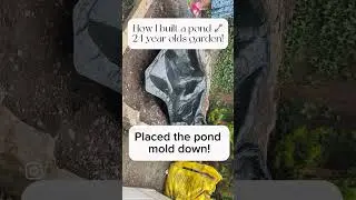 My pond build as a 24 year old! 🌳🌿🏡#garden