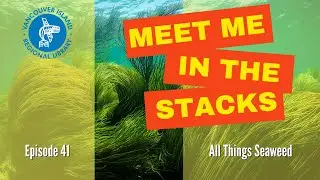 All Things Seaweed - Meet me in the stacks ep 41