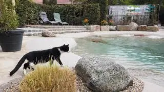 Design und Entspannung im Garten