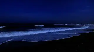 Ocean Sound for Calming Pets: Soothe & Relax Animals