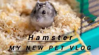 My new pet hamster Unboxing
